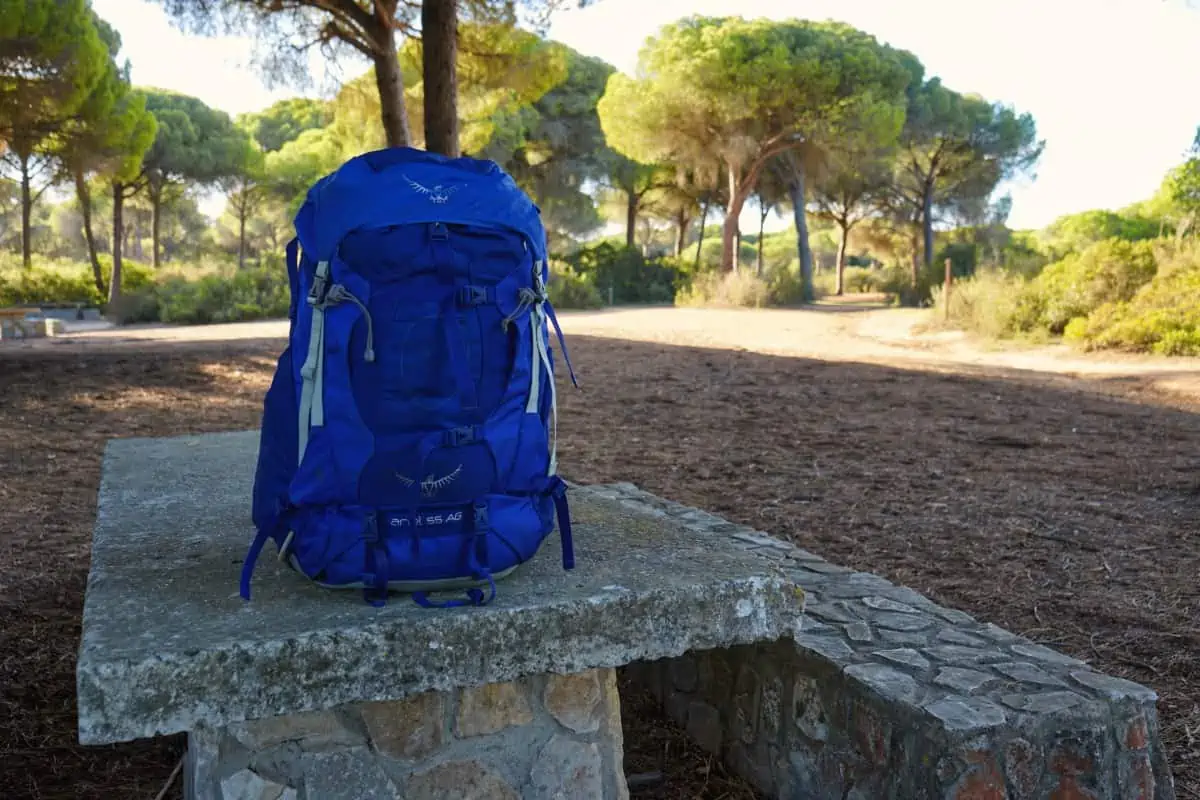 amazon mini camo backpacks Igloo Realtree APX 30-Can Gizmo Backpack
