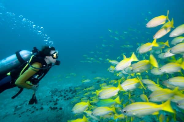 Top 10 Best Luxury Diving Liveaboard Trips • The Adventure Junkies