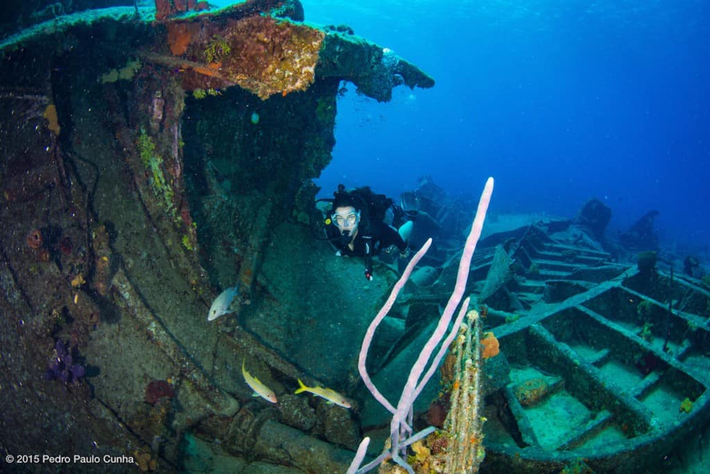 The 10 Best Wreck Dives in the World • The Adventure Junkies