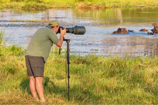 Best Point And Shoot Cameras For Wildlife Photography Of 2024 • The ...