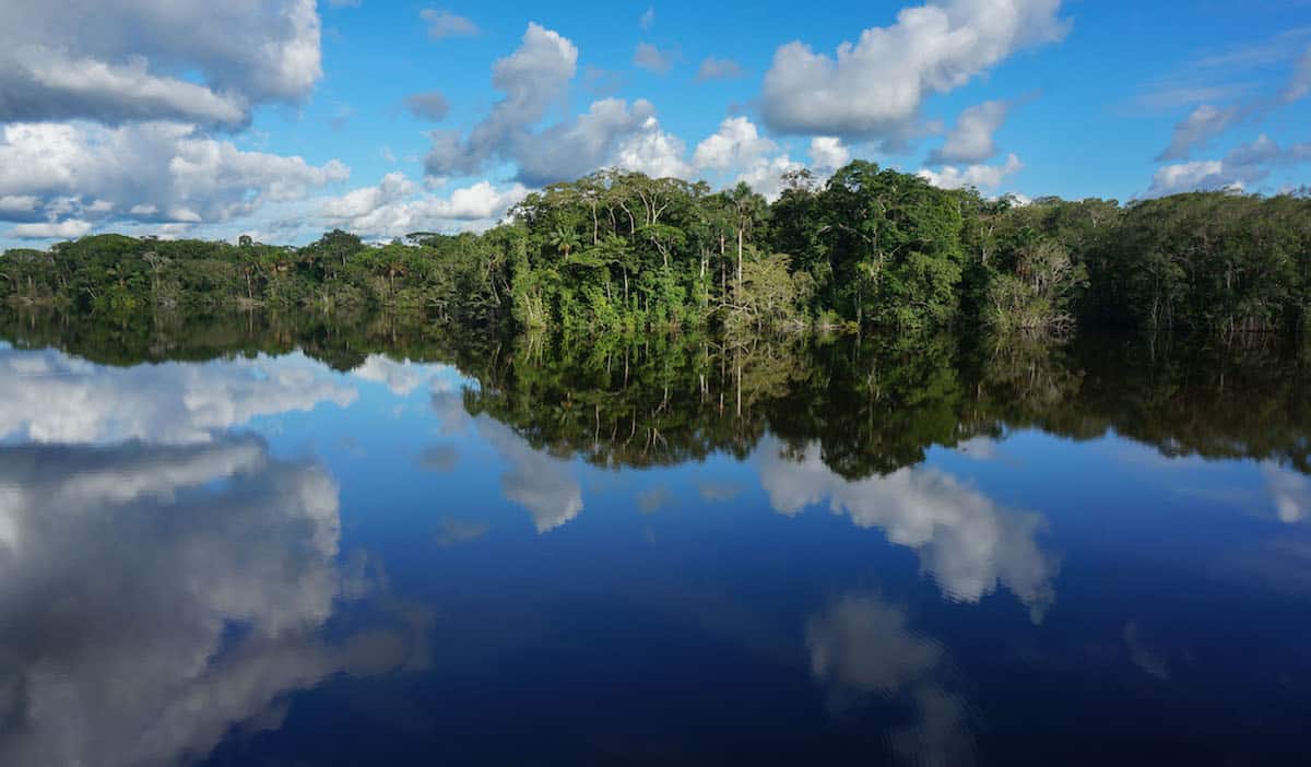 22 Photos That Will Transport To The Amazon Rainforest