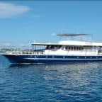 The 6 Best Maldives Liveaboard Diving Trips • The Adventure Junkies